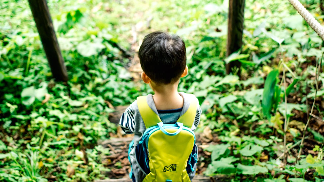 応用情報以外のキャリア選択肢